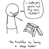 The troubles of being a step ladder